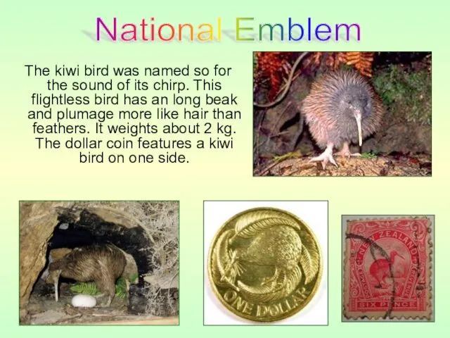The kiwi bird was named so for the sound of
