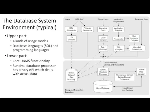 The Database System Environment (typical) Upper part: 4 kinds of