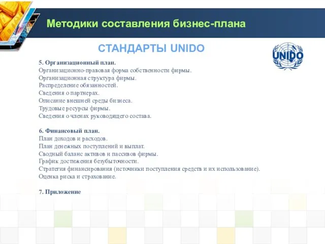 5. Организационный план. Организационно-правовая форма собственности фирмы. Организационная структура фирмы.