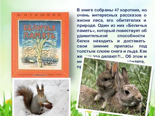 В книге собраны 47 коротких, но очень интересных рассказов о жизни леса, его