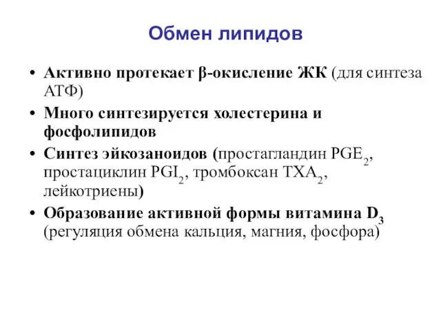 Активно протекает β-окисление ЖК (для синтеза АТФ) Много синтезируется холестерина