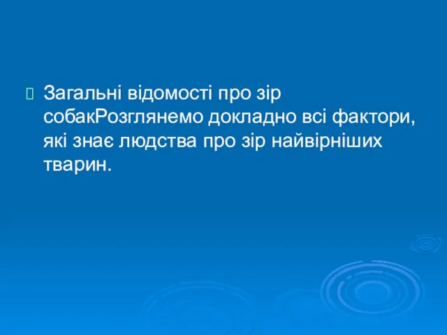 Загальні відомості про зір собакРозглянемо докладно всі фактори, які знає людства про зір найвірніших тварин.