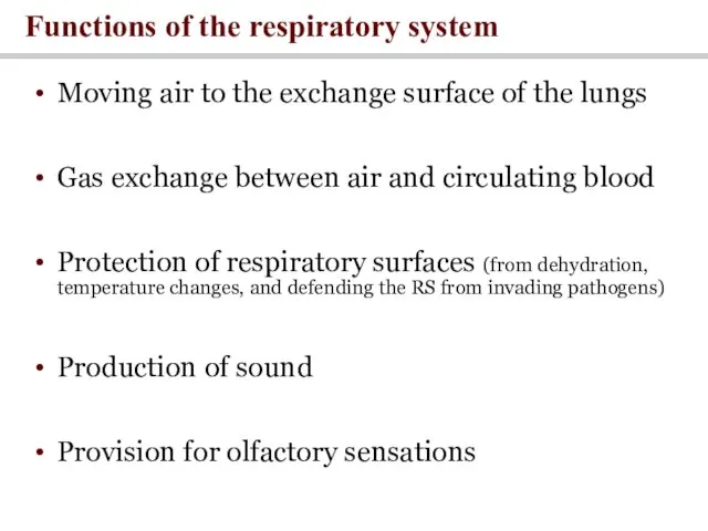 Moving air to the exchange surface of the lungs Gas