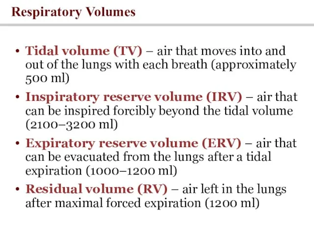 Respiratory Volumes Tidal volume (TV) – air that moves into