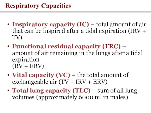 Respiratory Capacities Inspiratory capacity (IC) – total amount of air
