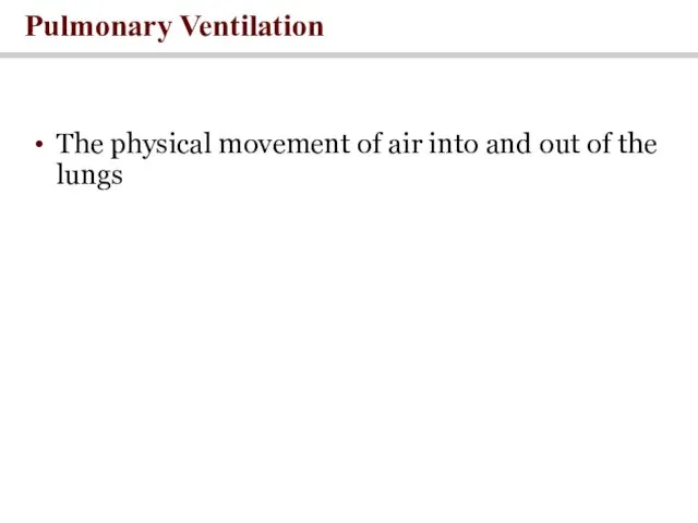 The physical movement of air into and out of the lungs Pulmonary Ventilation