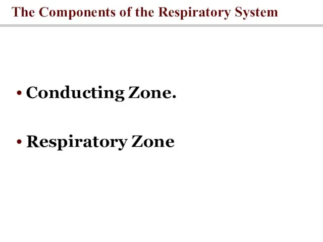 The Components of the Respiratory System Conducting Zone. Respiratory Zone