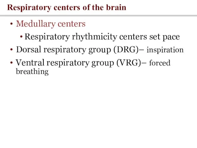 Medullary centers Respiratory rhythmicity centers set pace Dorsal respiratory group