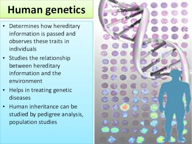 Human genetics Determines how hereditary information is passed and observes