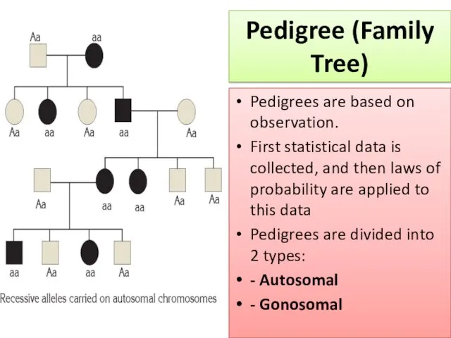 Pedigrees are based on observation. First statistical data is collected,