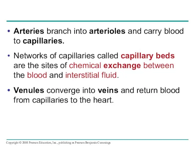 Arteries branch into arterioles and carry blood to capillaries. Networks