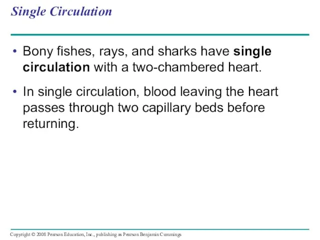 Single Circulation Bony fishes, rays, and sharks have single circulation