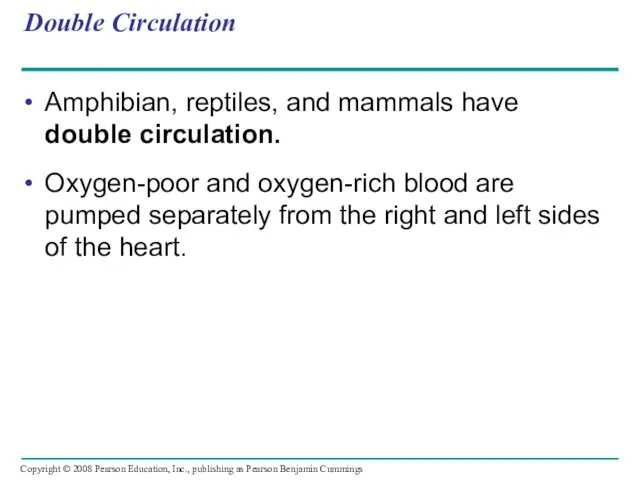 Double Circulation Amphibian, reptiles, and mammals have double circulation. Oxygen-poor