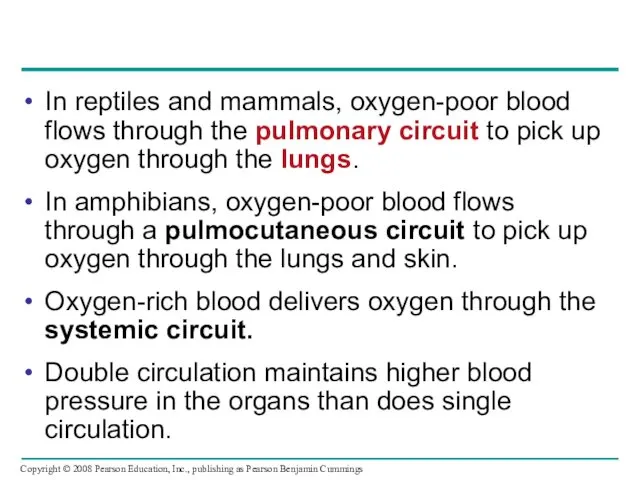 In reptiles and mammals, oxygen-poor blood flows through the pulmonary