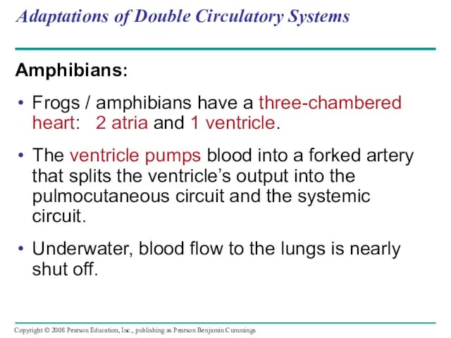 Adaptations of Double Circulatory Systems Amphibians: Frogs / amphibians have
