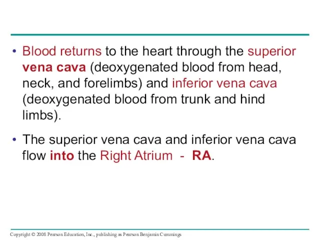 Blood returns to the heart through the superior vena cava