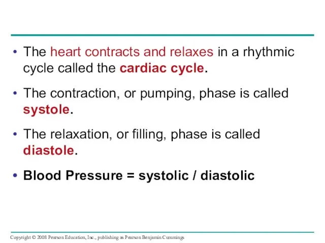 The heart contracts and relaxes in a rhythmic cycle called