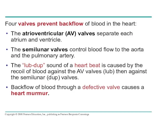 Four valves prevent backflow of blood in the heart: The
