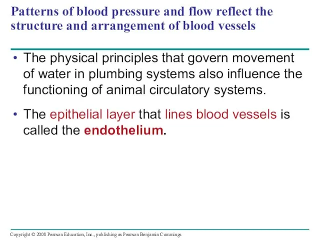 Patterns of blood pressure and flow reflect the structure and