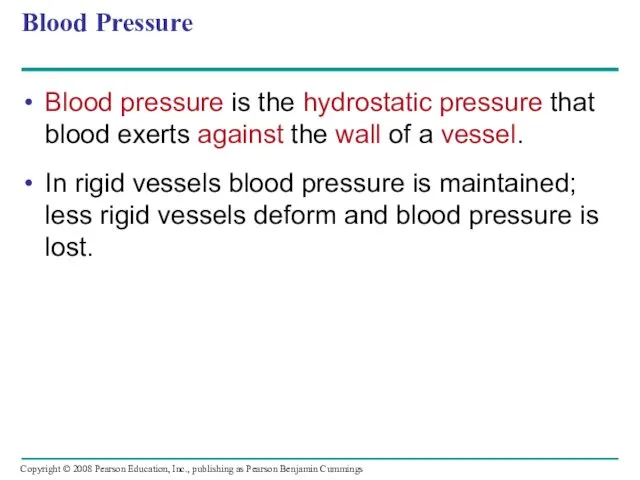 Blood Pressure Blood pressure is the hydrostatic pressure that blood