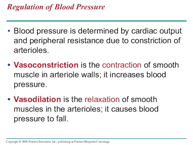 Regulation of Blood Pressure Blood pressure is determined by cardiac