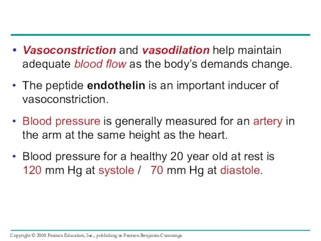 Vasoconstriction and vasodilation help maintain adequate blood flow as the