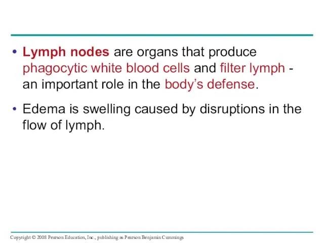 Lymph nodes are organs that produce phagocytic white blood cells