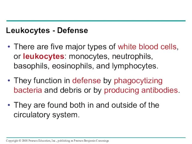 Leukocytes - Defense There are five major types of white