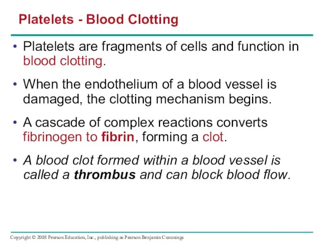 Platelets - Blood Clotting Platelets are fragments of cells and