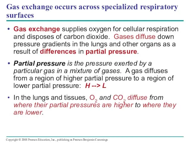 Gas exchange occurs across specialized respiratory surfaces Gas exchange supplies