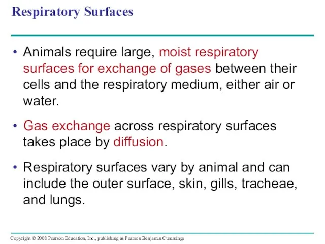 Respiratory Surfaces Animals require large, moist respiratory surfaces for exchange