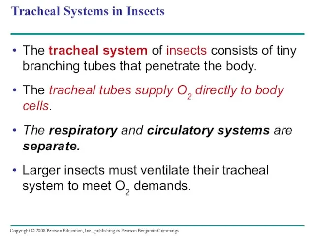 Tracheal Systems in Insects The tracheal system of insects consists