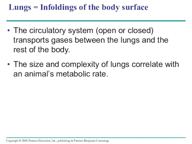 Lungs = Infoldings of the body surface The circulatory system