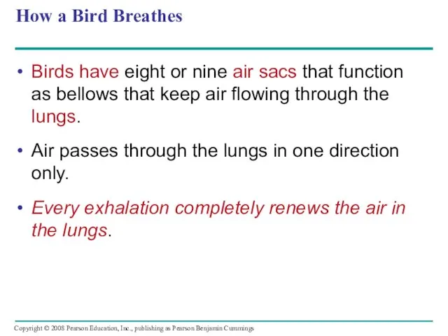 How a Bird Breathes Birds have eight or nine air