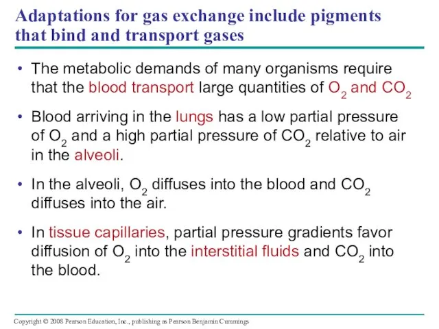Adaptations for gas exchange include pigments that bind and transport