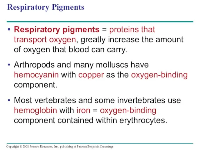Respiratory Pigments Respiratory pigments = proteins that transport oxygen, greatly