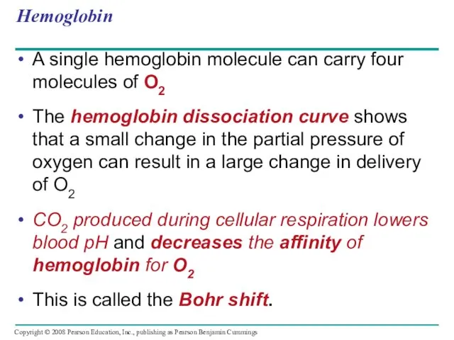 Hemoglobin A single hemoglobin molecule can carry four molecules of