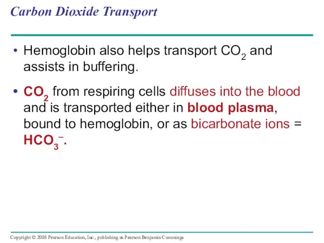 Carbon Dioxide Transport Hemoglobin also helps transport CO2 and assists
