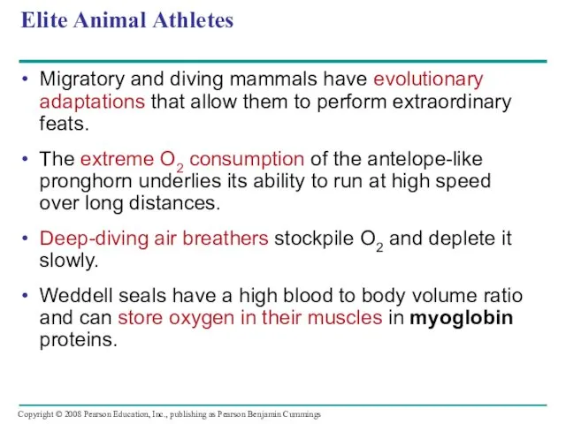 Elite Animal Athletes Migratory and diving mammals have evolutionary adaptations