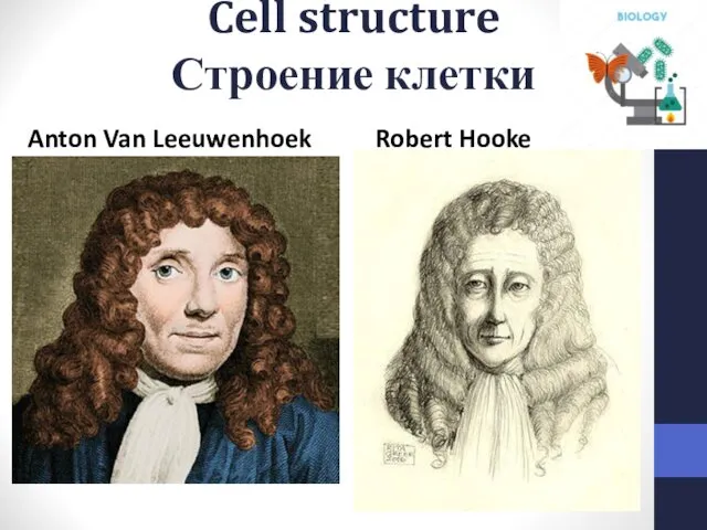 Cell structure Строение клетки Anton Van Leeuwenhoek Robert Hooke