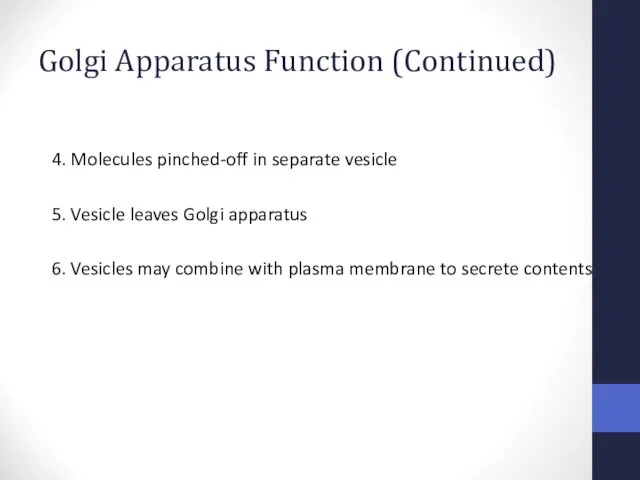 Golgi Apparatus Function (Continued) 4. Molecules pinched-off in separate vesicle 5. Vesicle leaves