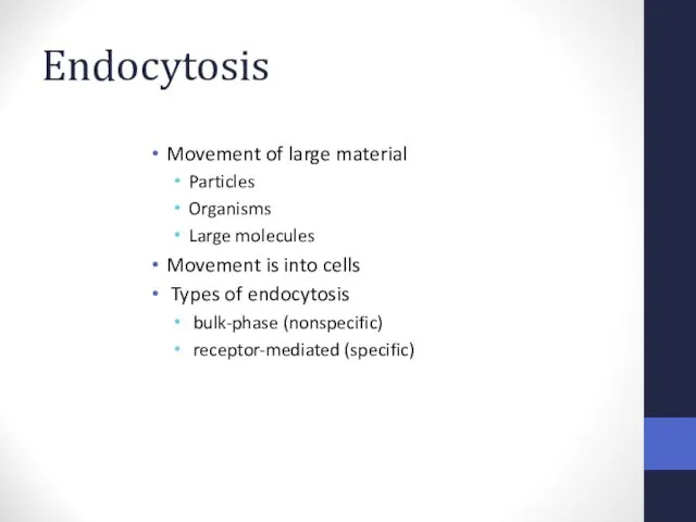 Endocytosis Movement of large material Particles Organisms Large molecules Movement is into cells