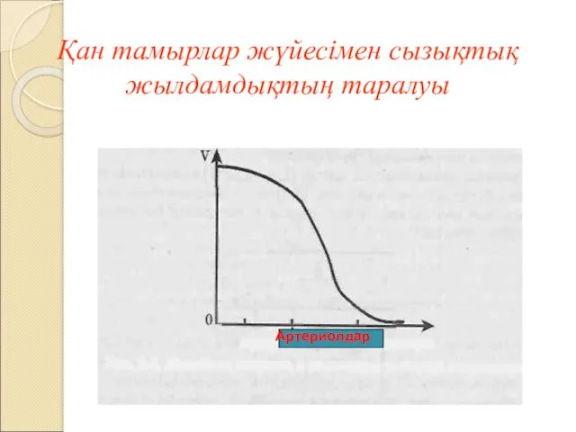 Қан тамырлар жүйесімен сызықтық жылдамдықтың таралуы Артериолдар