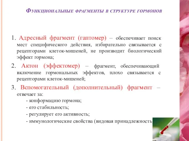 1. Адресный фрагмент (гаптомер) – обеспечивает поиск мест специфического действия,