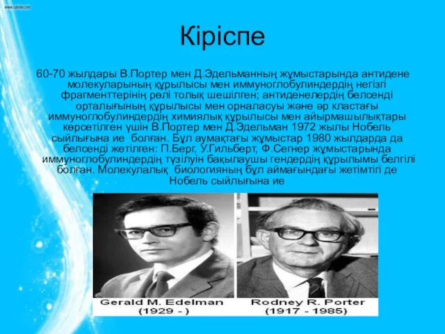 Кіріспе 60-70 жылдары В.Портер мен Д.Эдельманның жұмыстарында антидене молекуларының құрылысы