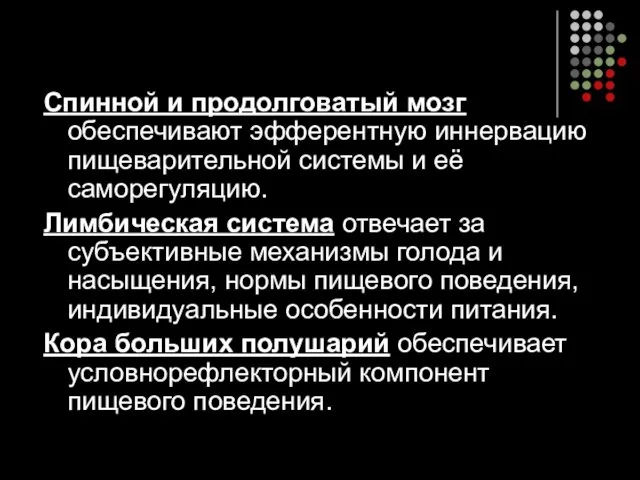 Спинной и продолговатый мозг обеспечивают эфферентную иннервацию пищеварительной системы и