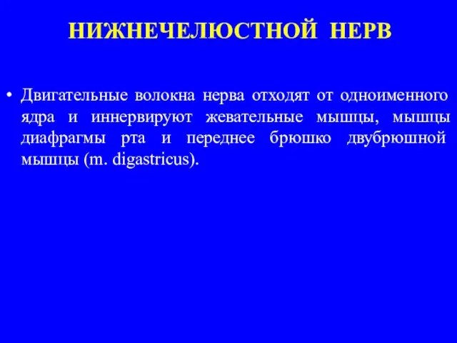 НИЖНЕЧЕЛЮСТНОЙ НЕРВ Двигательные волокна нерва отходят от одноименного ядра и