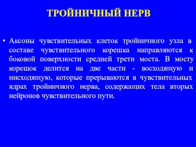 ТРОЙНИЧНЫЙ НЕРВ Аксоны чувствительных клеток трой­ничного узла в составе чувствительного