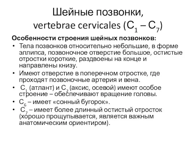 Шейные позвонки, vertebrae cervicales (С1 – С7) Особенности строения шейных