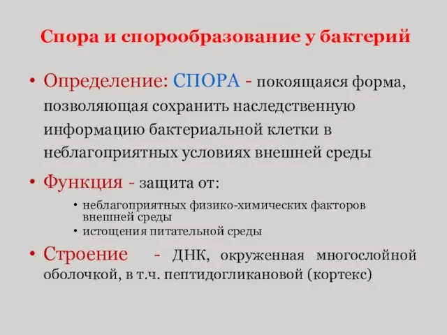 Спора и спорообразование у бактерий Определение: СПОРА - покоящаяся форма,